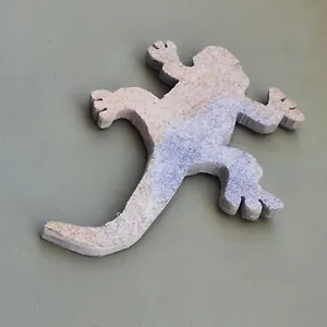 Casa Lagarto El Paso